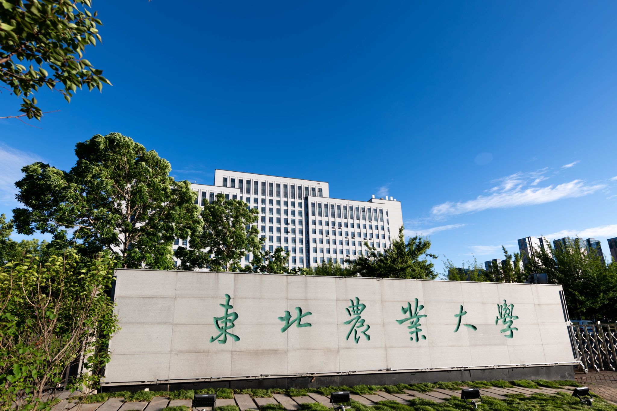 规模质量双提升 多元培养显成效——我校2026年本科招生再创佳绩